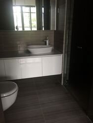 Mon Jervois (D10), Condominium #391887461